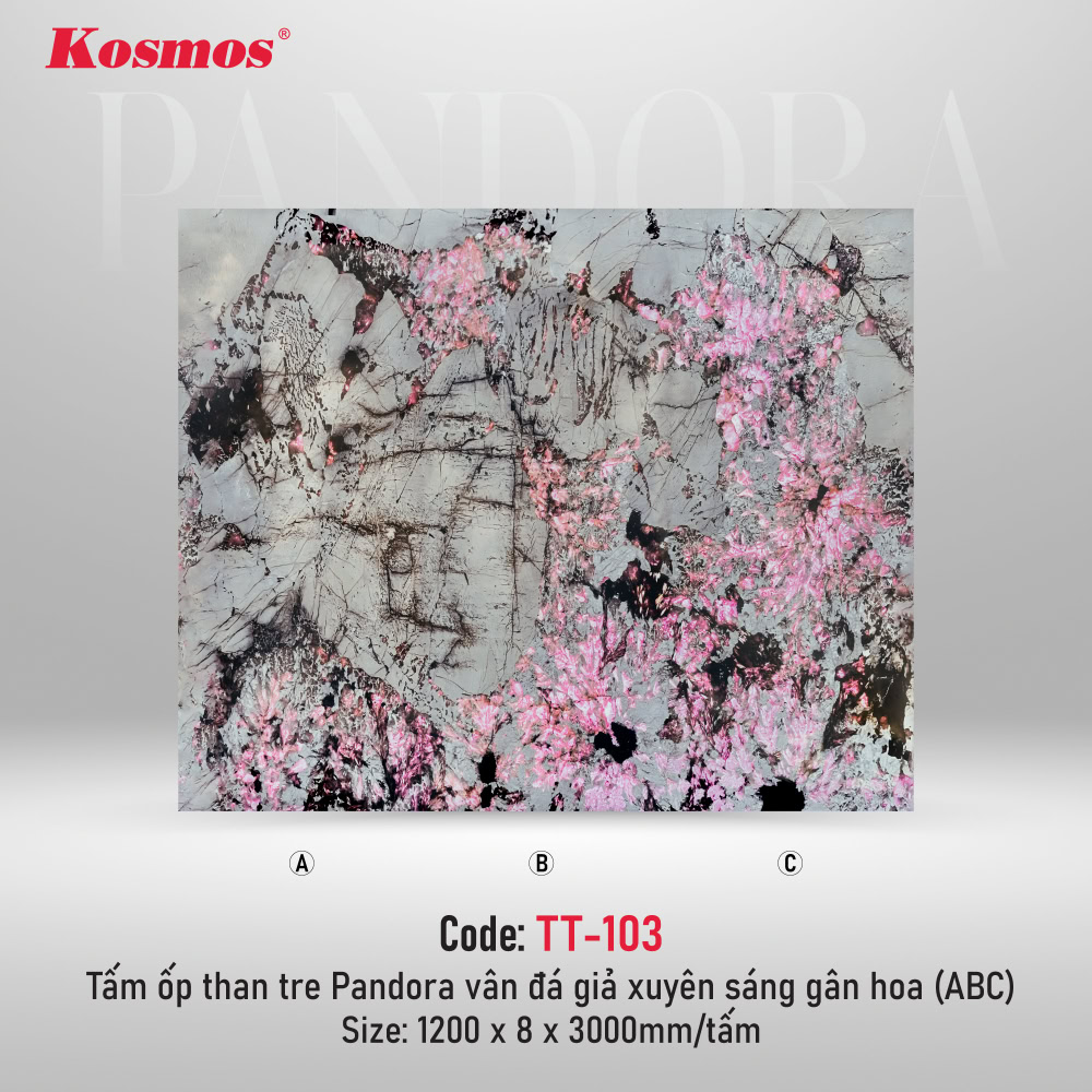 tam-op-than-tre-tt-103-24062026