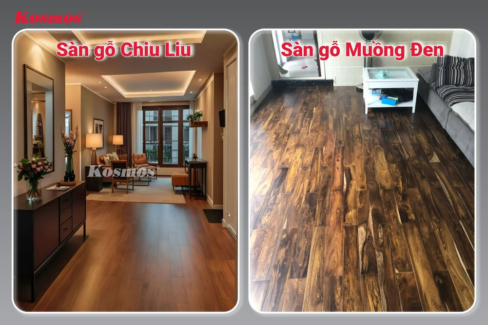 Sàn gỗ Chiu Liu và sàn gỗ Muồng Đen Sàn gỗ Chiu Liu và sàn gỗ Muồng Đen