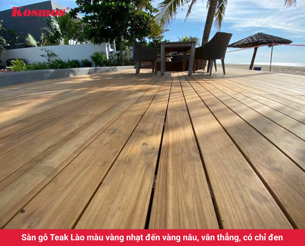 Sàn gỗ Teak Lào màu vàng nhạt đến vàng nâu, vân thẳng, có chỉ đen