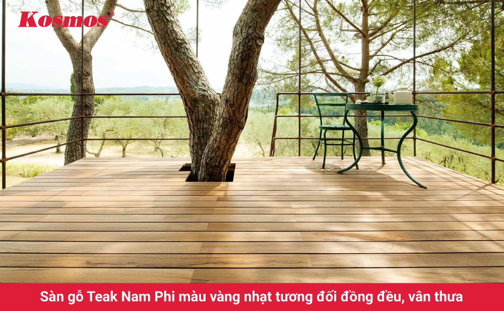 Sàn gỗ Teak Nam Phi màu vàng nhạt tương đối đồng đều, vân thưa