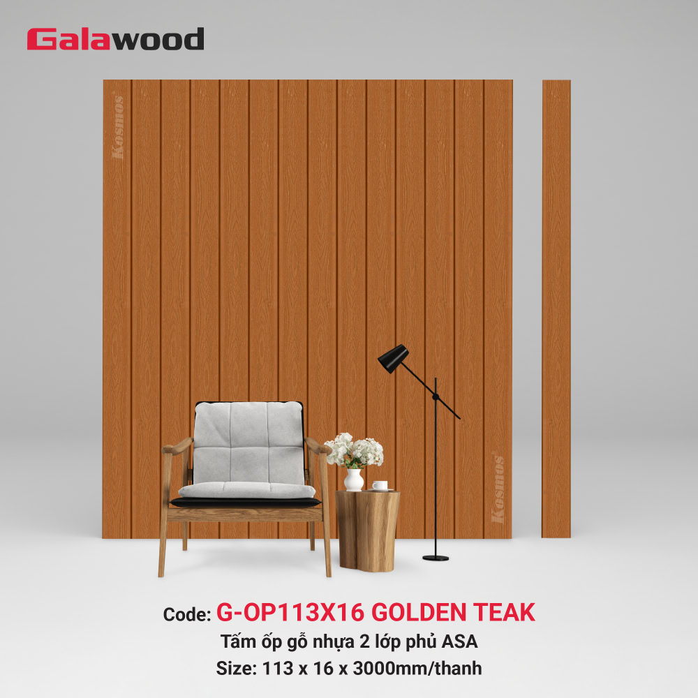 tam-op-go-nhua-asa-g-op113x16-gt-23072026