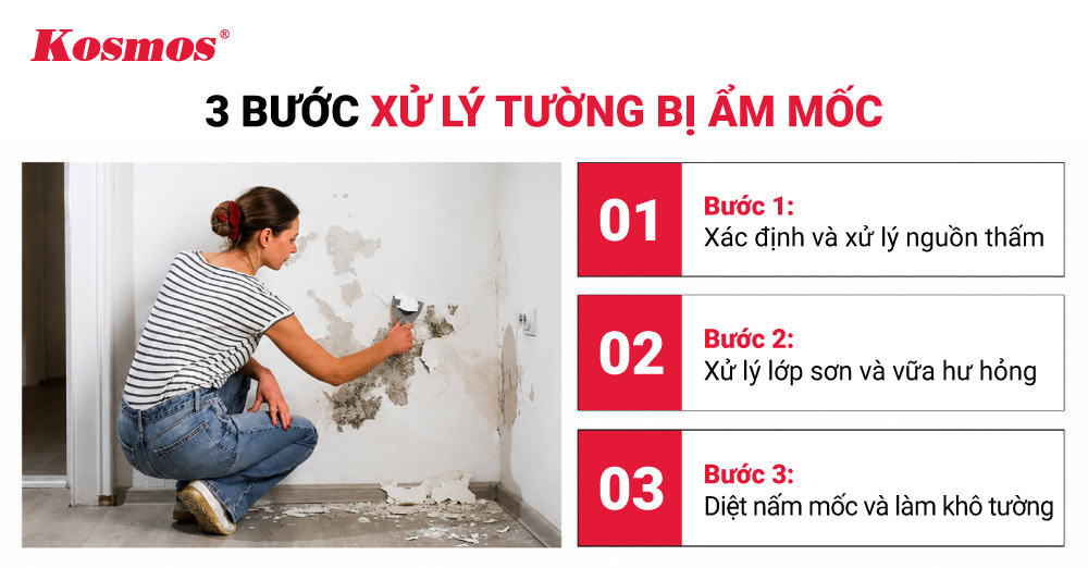 3 bước xử lý tường bị ẩm mốc