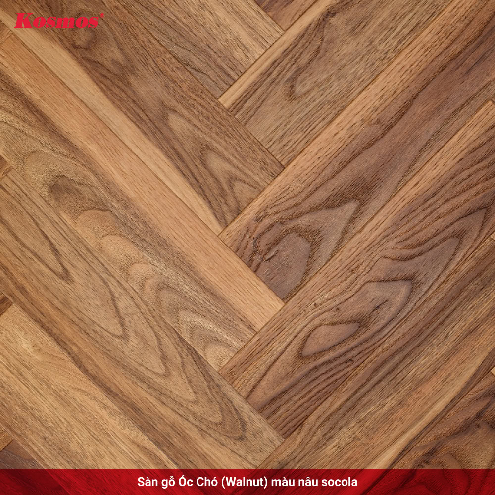 Sàn gỗ Óc Chó (Walnut) màu nâu socola Sàn gỗ Óc Chó (Walnut) màu nâu socola