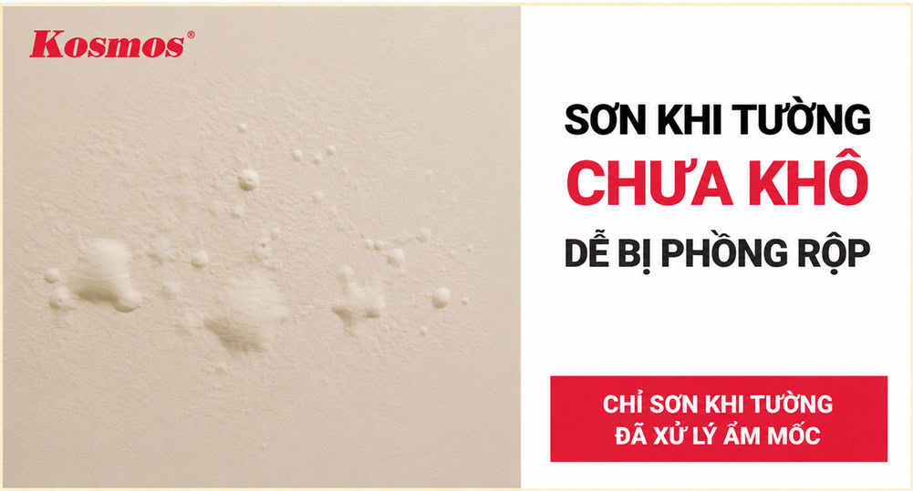 Lý do sơn khi tường chưa khô dễ bị phồng rộp