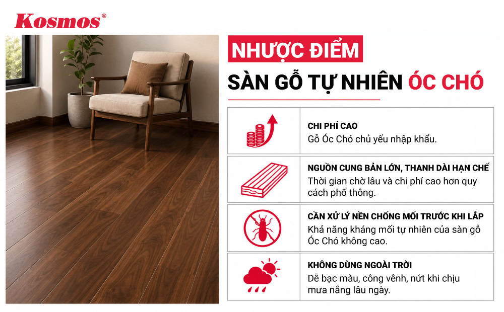 Nhược điểm sàn gỗ tự nhiên Óc Chó Nhược điểm sàn gỗ tự nhiên Óc Chó