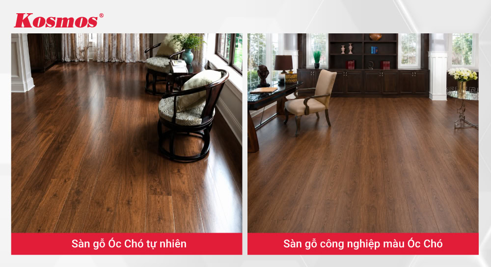 Sàn tự nhiên và sàn gỗ công nghiệp màu Óc Chó Sàn tự nhiên và sàn gỗ công nghiệp màu Óc Chó