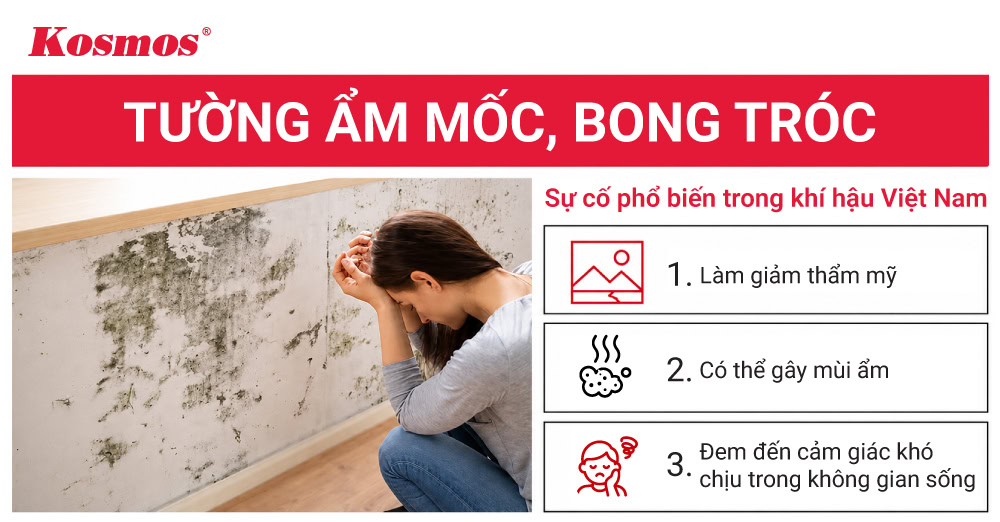 Tác hại của tường bị ẩm mốc, bong tróc