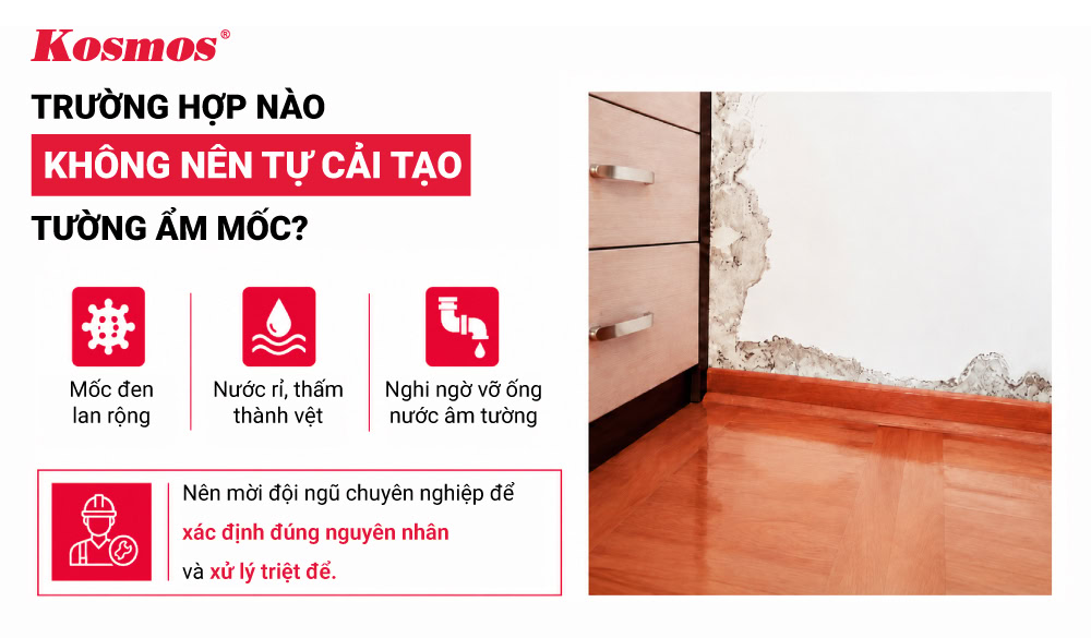 Trường hợp không nên tự cải tạo tường ẩm mốc