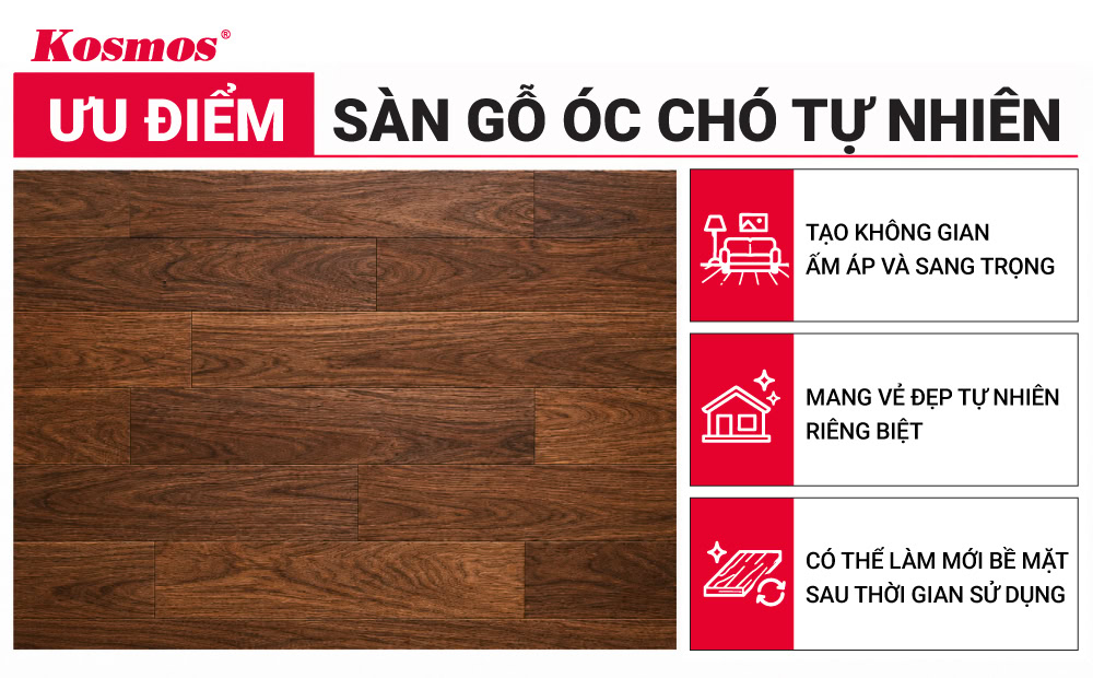 Ưu điểm sàn gỗ Óc Chó tự nhiên Ưu điểm sàn gỗ Óc Chó tự nhiên