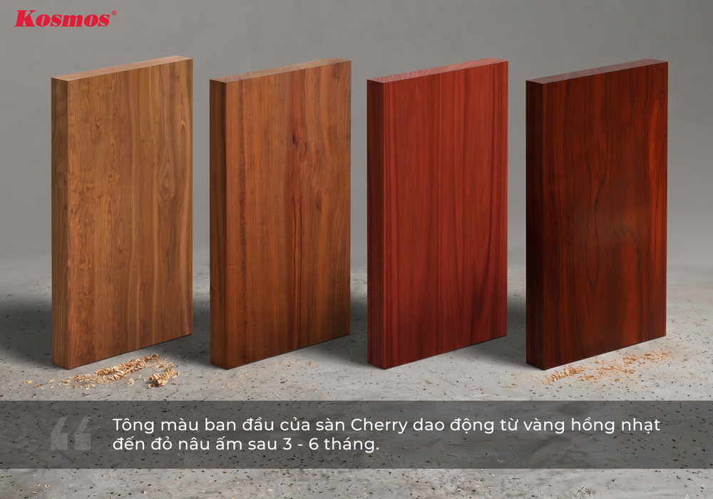 Hình thấy rõ màu sắc sàn gỗ Cherry (Anh Đào) dao động từ vàng hồng nhạt đến đỏ nâu ấm sau 3 - 6 tháng Hình thấy rõ màu sắc sàn gỗ Cherry (Anh Đào) dao động từ vàng hồng nhạt đến đỏ nâu ấm sau 3 - 6 tháng