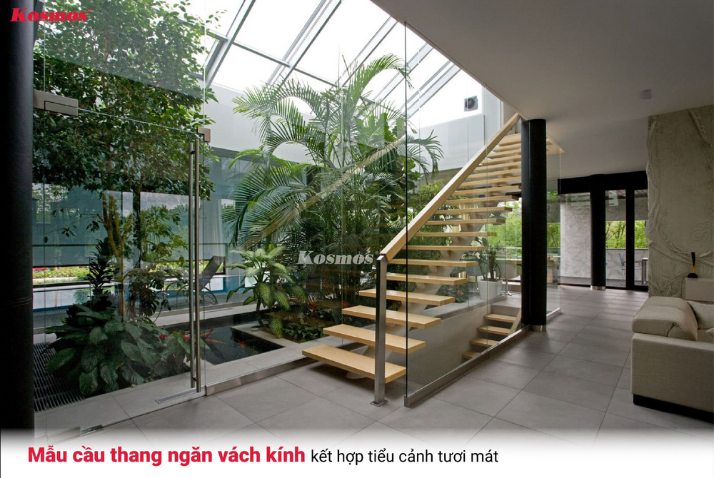 Mẫu cầu thang ngăn vách kính kết hợp tiểu cảnh tươi mát Mẫu cầu thang ngăn vách kính kết hợp tiểu cảnh tươi mát