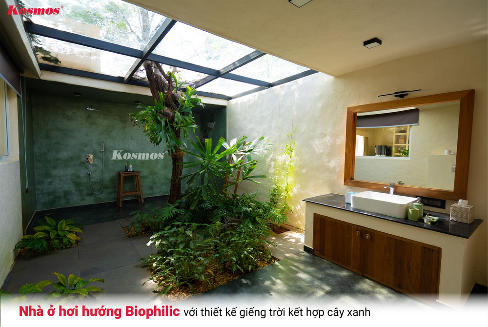 Nhà ở hơi hướng Biophilic với thiết kế giếng trời kết hợp cây xanh Nhà ở hơi hướng Biophilic với thiết kế giếng trời kết hợp cây xanh