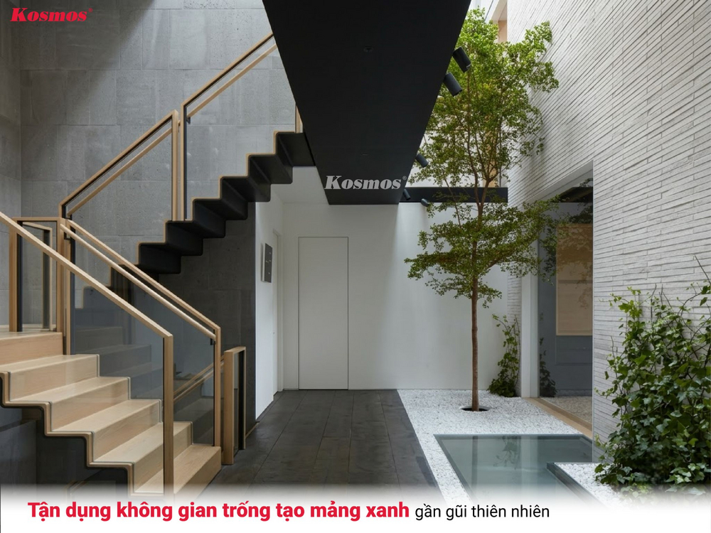 Tận dụng không gian trống tạo mảng xanh gần gũi thiên nhiên Tận dụng không gian trống tạo mảng xanh gần gũi thiên nhiên