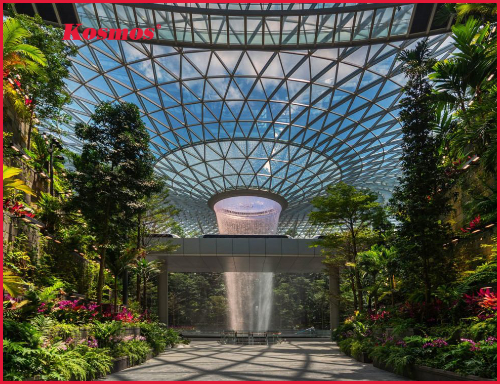 Vật liệu phù hợp với phong cách Biophilic: Gợi ý sàn, tường, trần và ngoại thất gần gũi thiên nhiên